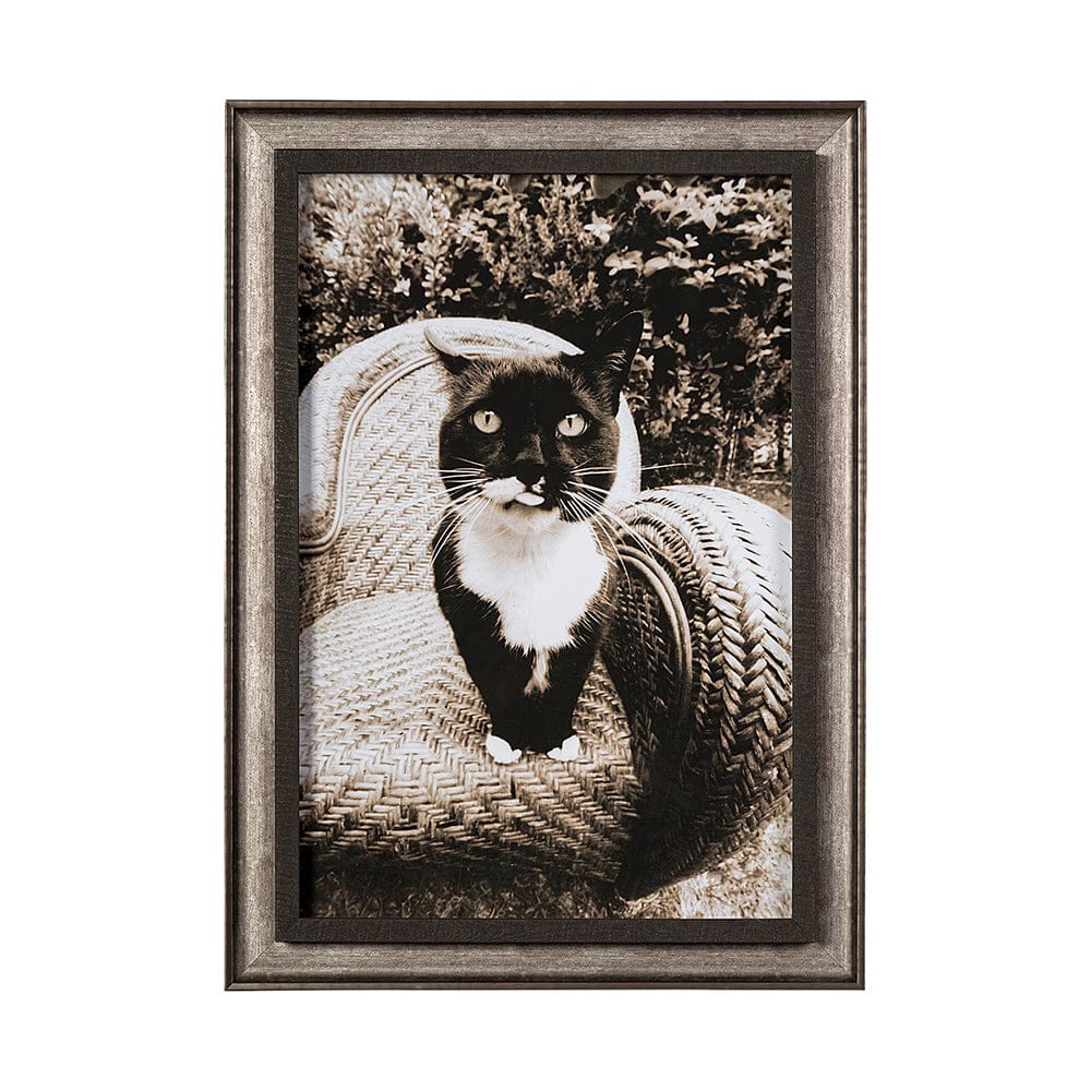 Mercana - Kitty I by Jim Drafield a Framed Art Print - 13545 view 1