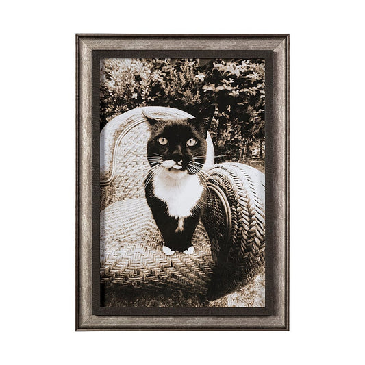 Mercana - Kitty I by Jim Drafield a Framed Art Print - 13545 view 1