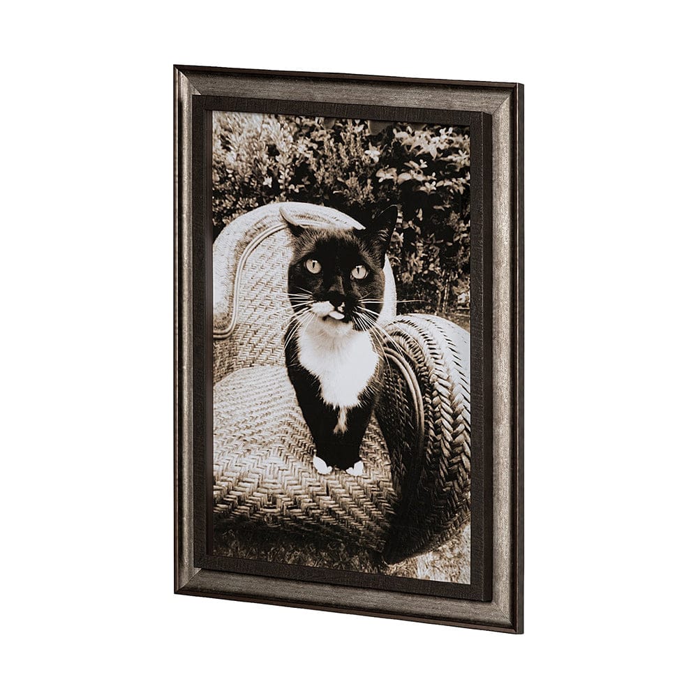 Mercana - Kitty I by Jim Drafield a Framed Art Print - 13545 view 2
