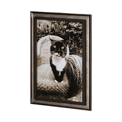 Mercana - Kitty I by Jim Drafield a Framed Art Print - 13545 view 2