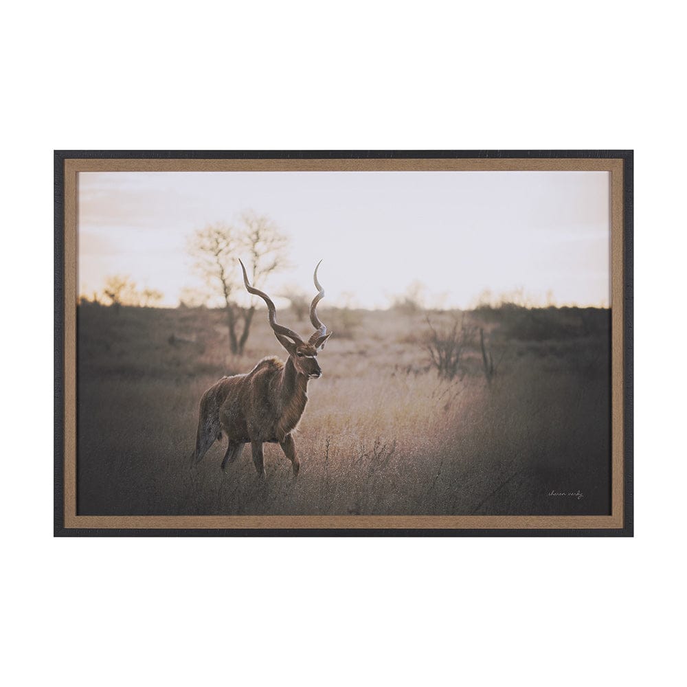 Mercana - Kudu Bull by Sharon Vardy a Hand Embellished Framed Art Print Matted under Glass - 15692 view 1
