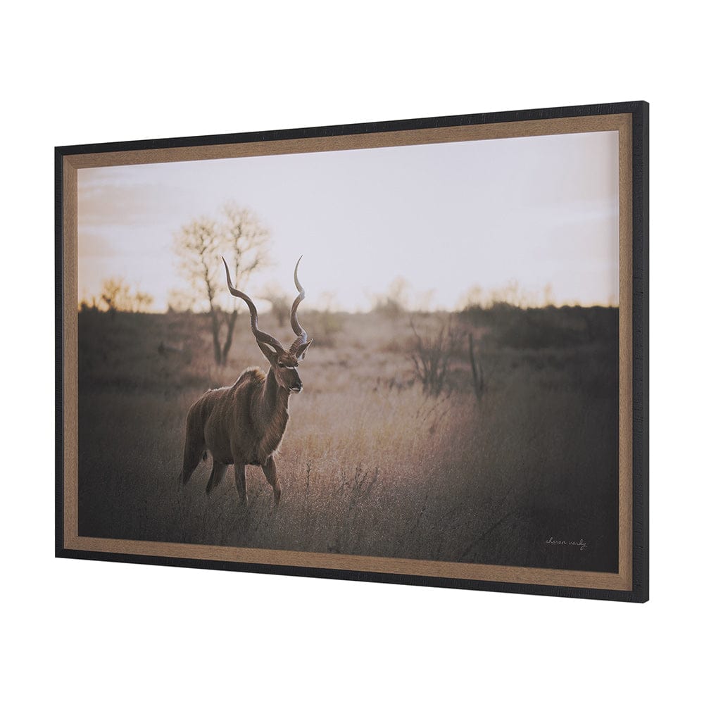 Mercana - Kudu Bull by Sharon Vardy a Hand Embellished Framed Art Print Matted under Glass - 15692 view 2