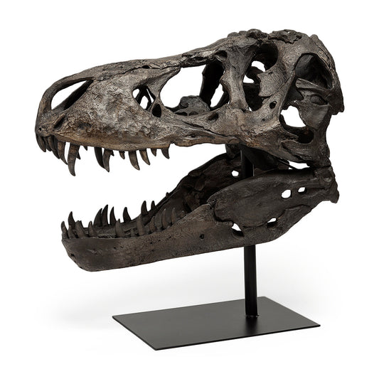 Mercana - Lagrane 19L x 11W Brown Resin Tyrannosaurus T Rex Dinosaur Skull Replica - 57430 view 1