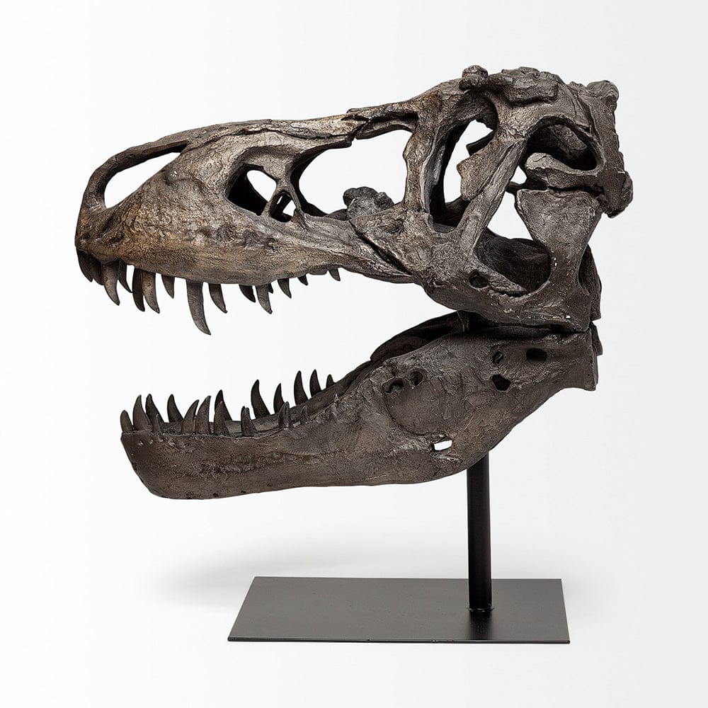 Mercana - Lagrane 19L x 11W Brown Resin Tyrannosaurus T Rex Dinosaur Skull Replica - 57430 view 3