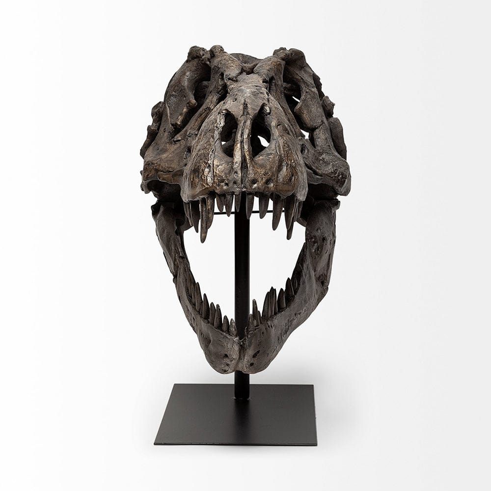 Mercana - Lagrane 19L x 11W Brown Resin Tyrannosaurus T Rex Dinosaur Skull Replica - 57430 view 4