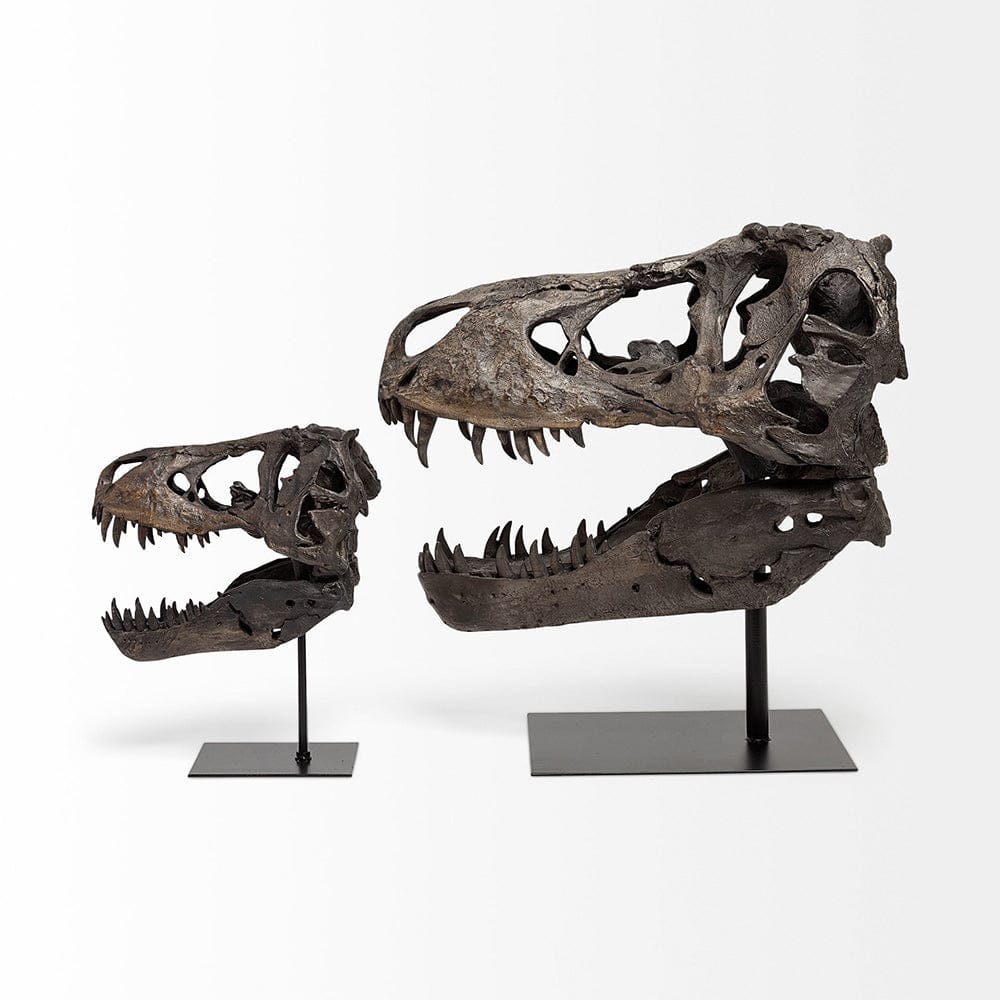 Mercana - Lagrane 19L x 11W Brown Resin Tyrannosaurus T Rex Dinosaur Skull Replica - 57430 view 6