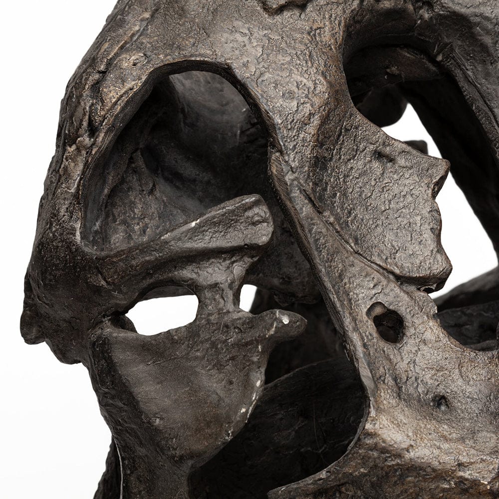 Mercana - Lagrane 19L x 11W Brown Resin Tyrannosaurus T Rex Dinosaur Skull Replica - 57430 view 8