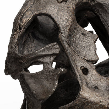 Mercana - Lagrane 19L x 11W Brown Resin Tyrannosaurus T Rex Dinosaur Skull Replica - 57430 view 8