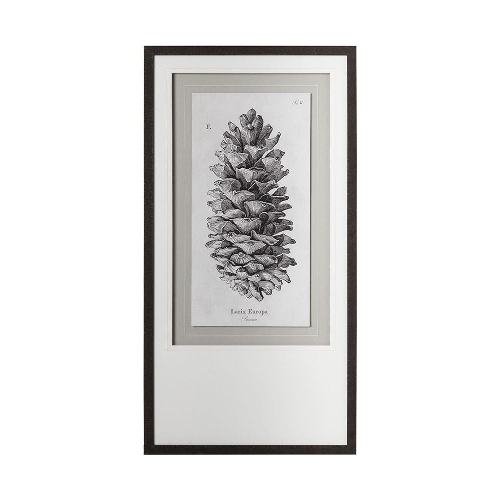 Mercana - Larix Europa by Maria Mendez a Framed Art Print Matted under Glass - 12058 view 3