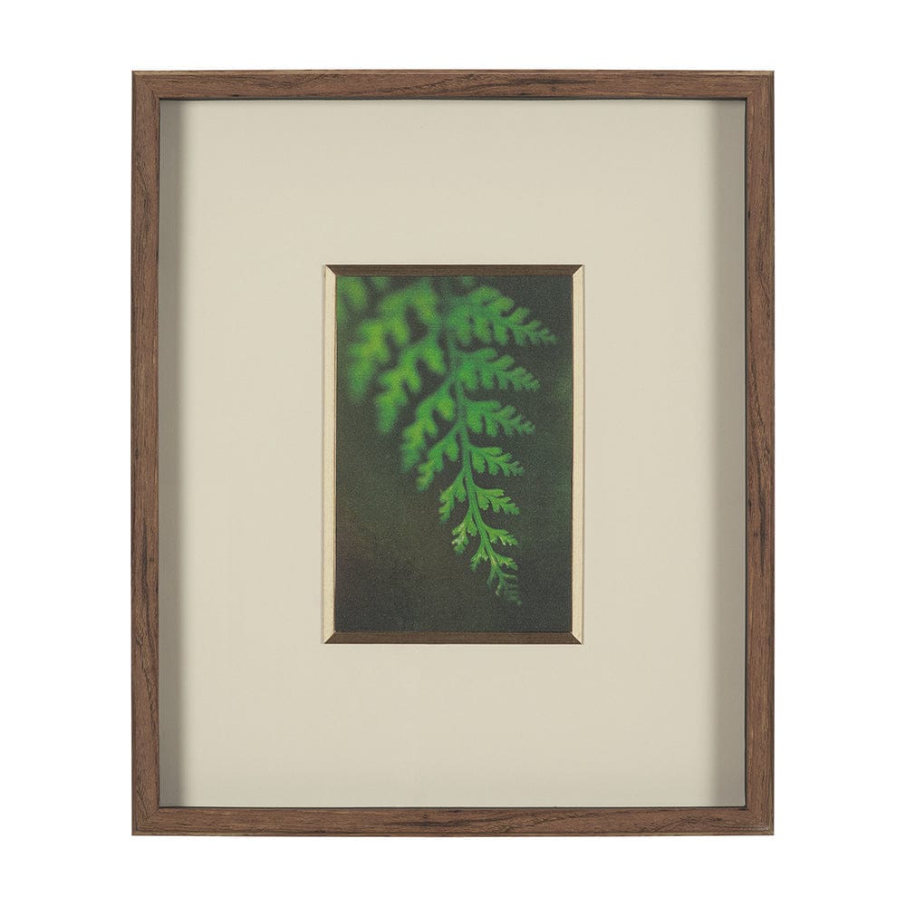 Mercana - Leaf Charm by Michael Banks a Hand Embellished Framed Art Print Matted under Glass - 15803 view 1