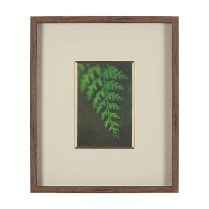 Mercana - Leaf Charm by Michael Banks a Hand Embellished Framed Art Print Matted under Glass - 15803 view 1