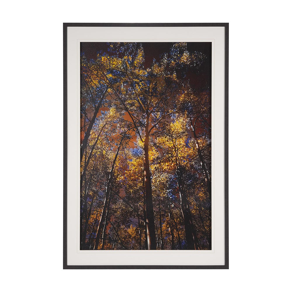 Mercana - Leafy Shelter by Bobbie Goodrich a Hand Embellished Framed Art Print Matted under Glass - 15554 view 1