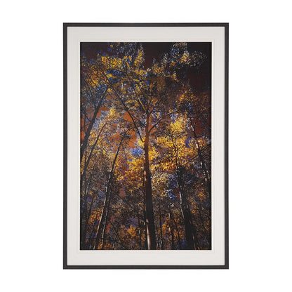 Mercana - Leafy Shelter by Bobbie Goodrich a Hand Embellished Framed Art Print Matted under Glass - 15554 view 1