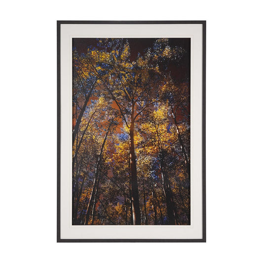 Mercana - Leafy Shelter by Bobbie Goodrich a Hand Embellished Framed Art Print Matted under Glass - 15554 view 1