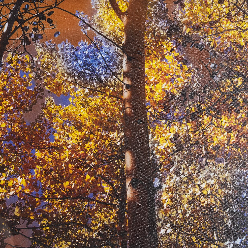Mercana - Leafy Shelter by Bobbie Goodrich a Hand Embellished Framed Art Print Matted under Glass - 15554 view 6