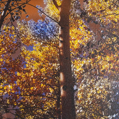 Mercana - Leafy Shelter by Bobbie Goodrich a Hand Embellished Framed Art Print Matted under Glass - 15554 view 6