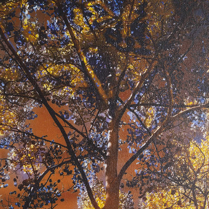 Mercana - Leafy Shelter by Bobbie Goodrich a Hand Embellished Framed Art Print Matted under Glass - 15554 view 7