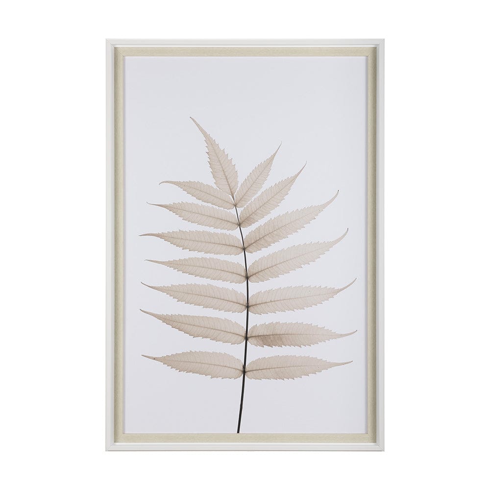 Mercana - Limber Leaves by Assaf Frank a Framed Art Print Matted under Glass - 13441 view 1
