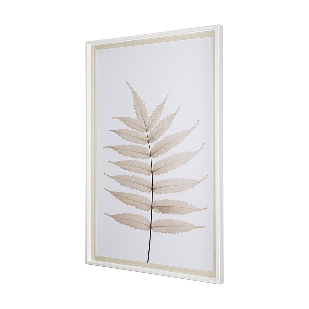 Mercana - Limber Leaves by Assaf Frank a Framed Art Print Matted under Glass - 13441 view 3