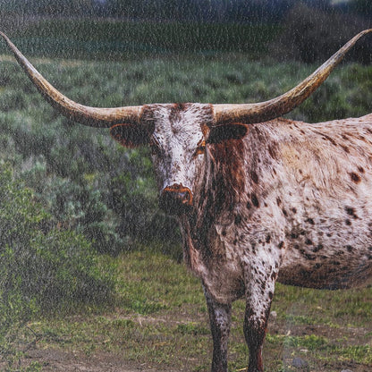Mercana - Longhorn 1 by Gary Blatter a Hand Embellished Framed Art Print Matted under Glass - 15496 view 6