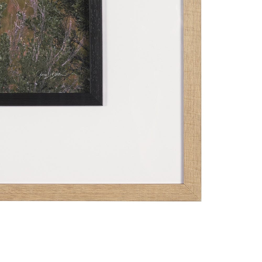 Mercana - Longhorn 5 by Gary Blatter a Hand Embellished Framed Art Print Matted under Glass - 15498 view 3