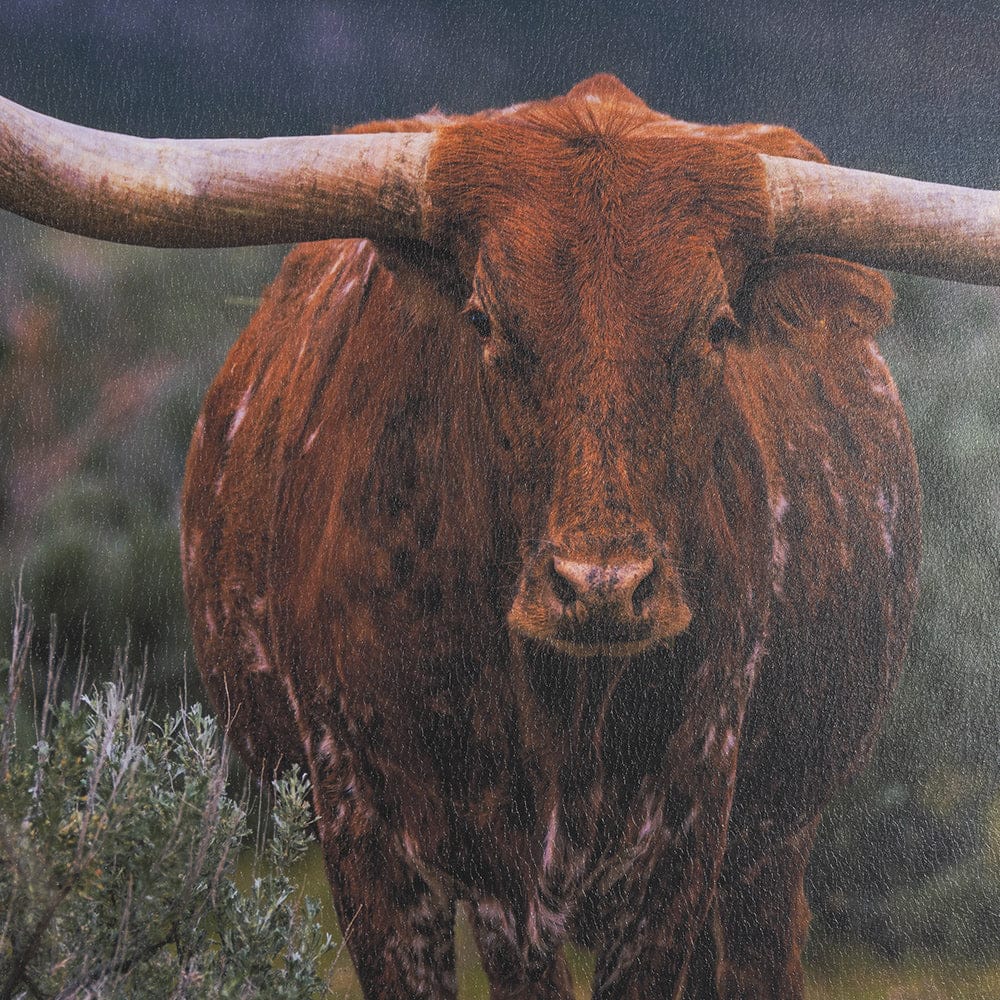 Mercana - Longhorn 5 by Gary Blatter a Hand Embellished Framed Art Print Matted under Glass - 15498 view 6