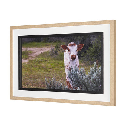 Mercana - Longhorn 7 by Gary Blatter a Hand Embellished Framed Art Print Matted under Glass - 15497 view 2