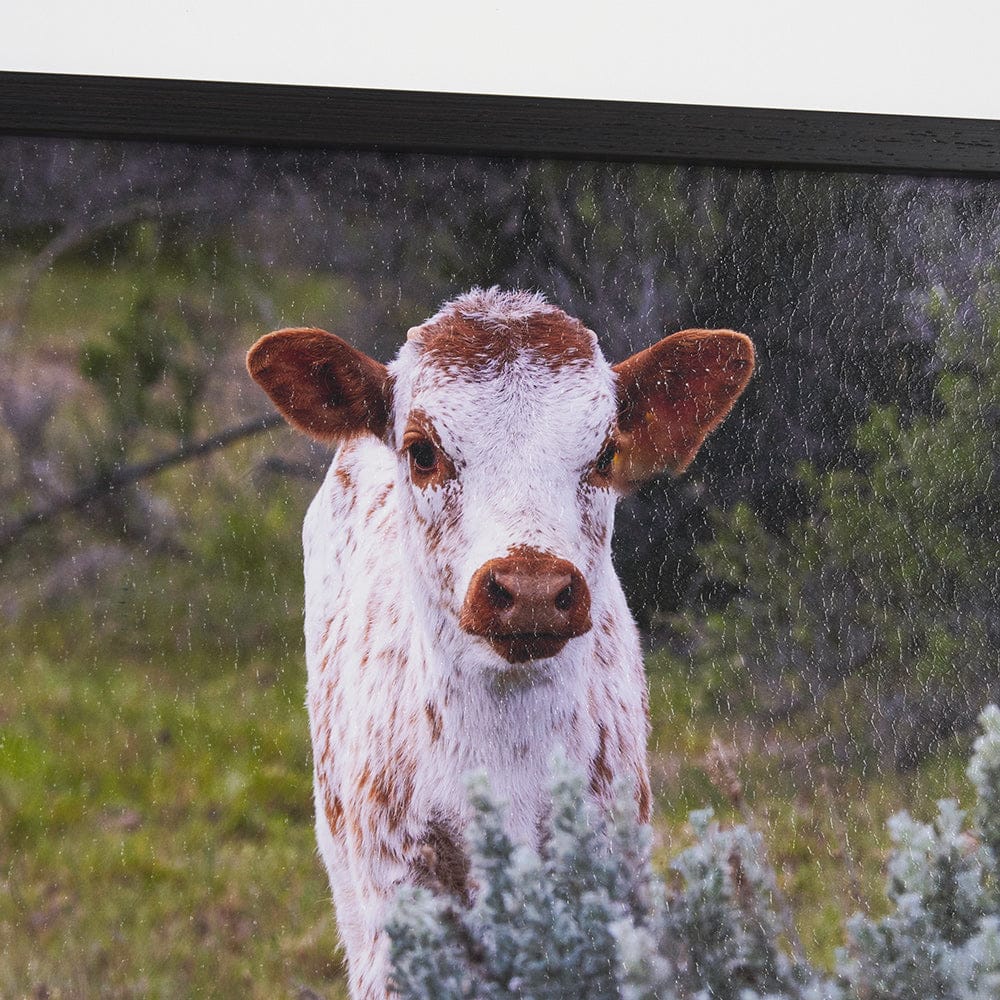 Mercana - Longhorn 7 by Gary Blatter a Hand Embellished Framed Art Print Matted under Glass - 15497 view 6