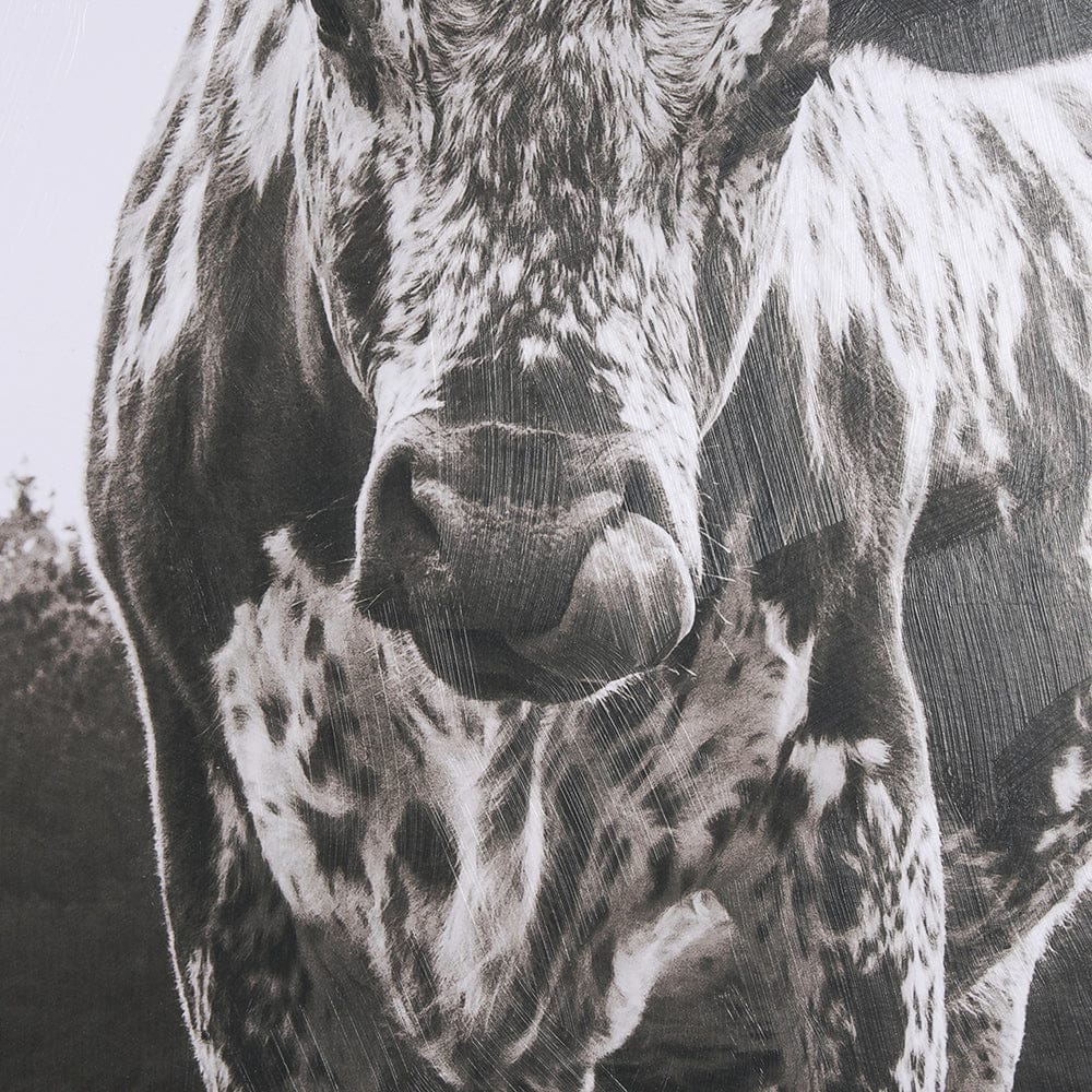 Mercana - Longhorn Last Call BW by Nathan Larson Hand Embelished Textured Framed Art Print Matted under Glass - 15456 view 6