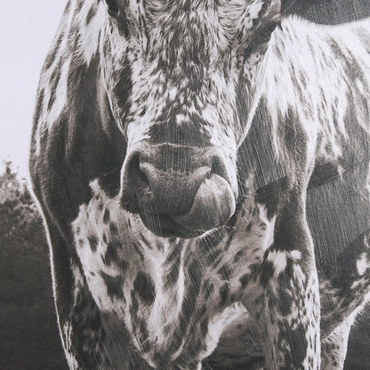 Mercana - Longhorn Last Call BW by Nathan Larson Hand Embelished Textured Framed Art Print Matted under Glass - 15456 view 6