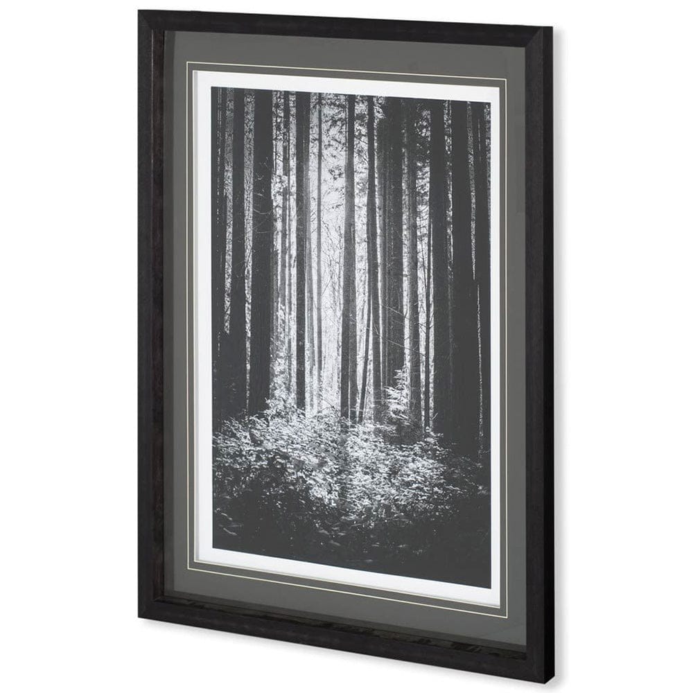 Mercana - Lowland Winter Forest No 13, Tiger Mountain by Bisig, Steve a Framed Art Print Matted under Glass - 10572 view 1