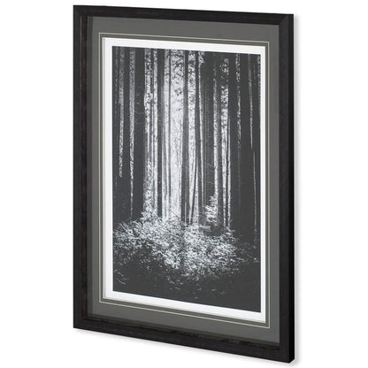 Mercana - Lowland Winter Forest No 13, Tiger Mountain by Bisig, Steve a Framed Art Print Matted under Glass - 10572 view 1
