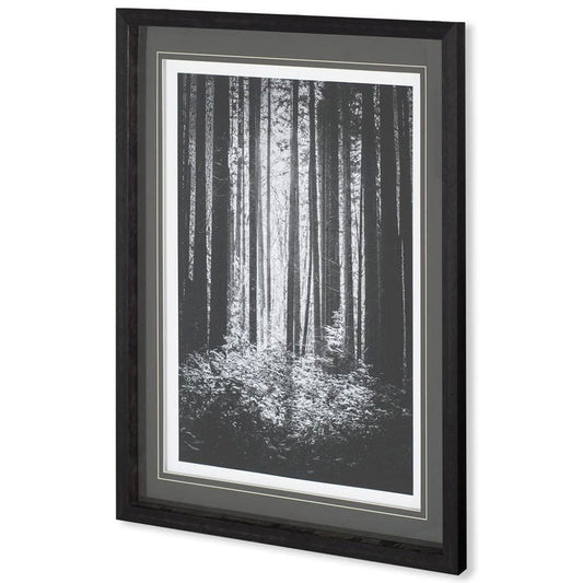 Mercana - Lowland Winter Forest No 13, Tiger Mountain by Bisig, Steve a Framed Art Print Matted under Glass - 10572 view 1
