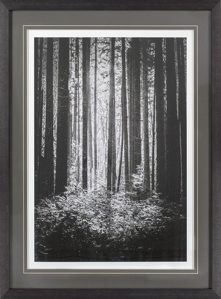 Mercana - Lowland Winter Forest No 13, Tiger Mountain by Bisig, Steve a Framed Art Print Matted under Glass - 10572 view 2