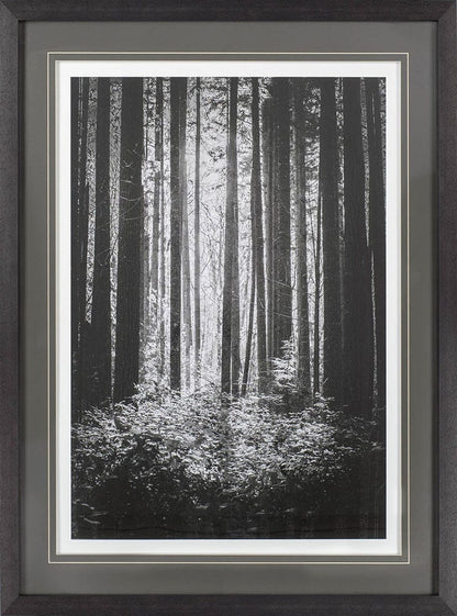 Mercana - Lowland Winter Forest No 13, Tiger Mountain by Bisig, Steve a Framed Art Print Matted under Glass - 10572 view 2