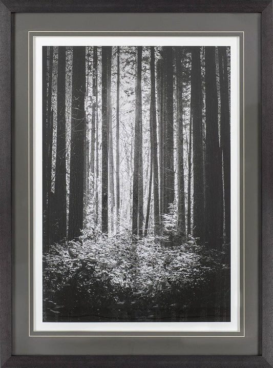 Mercana - Lowland Winter Forest No 13, Tiger Mountain by Bisig, Steve a Framed Art Print Matted under Glass - 10572 view 2