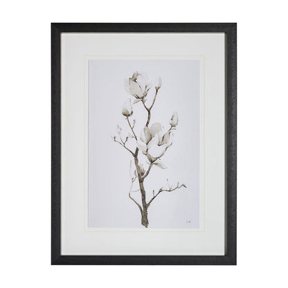 Mercana - Magnolia II by Gabrielle C a Framed Art Print Matted under Glass - 13219 view 1