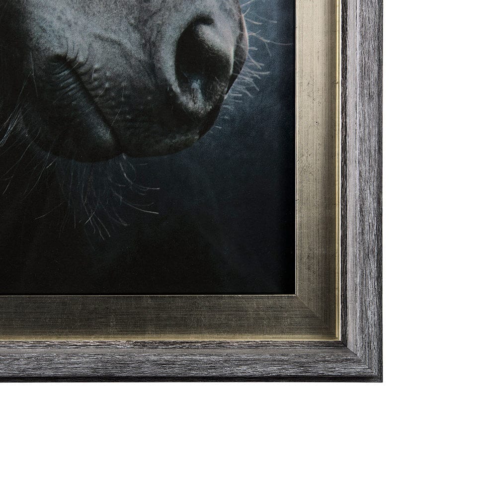 Mercana - Majestic Admiration by Mercana Studio a Framed Art Print Matted under Glass - 13929 view 3