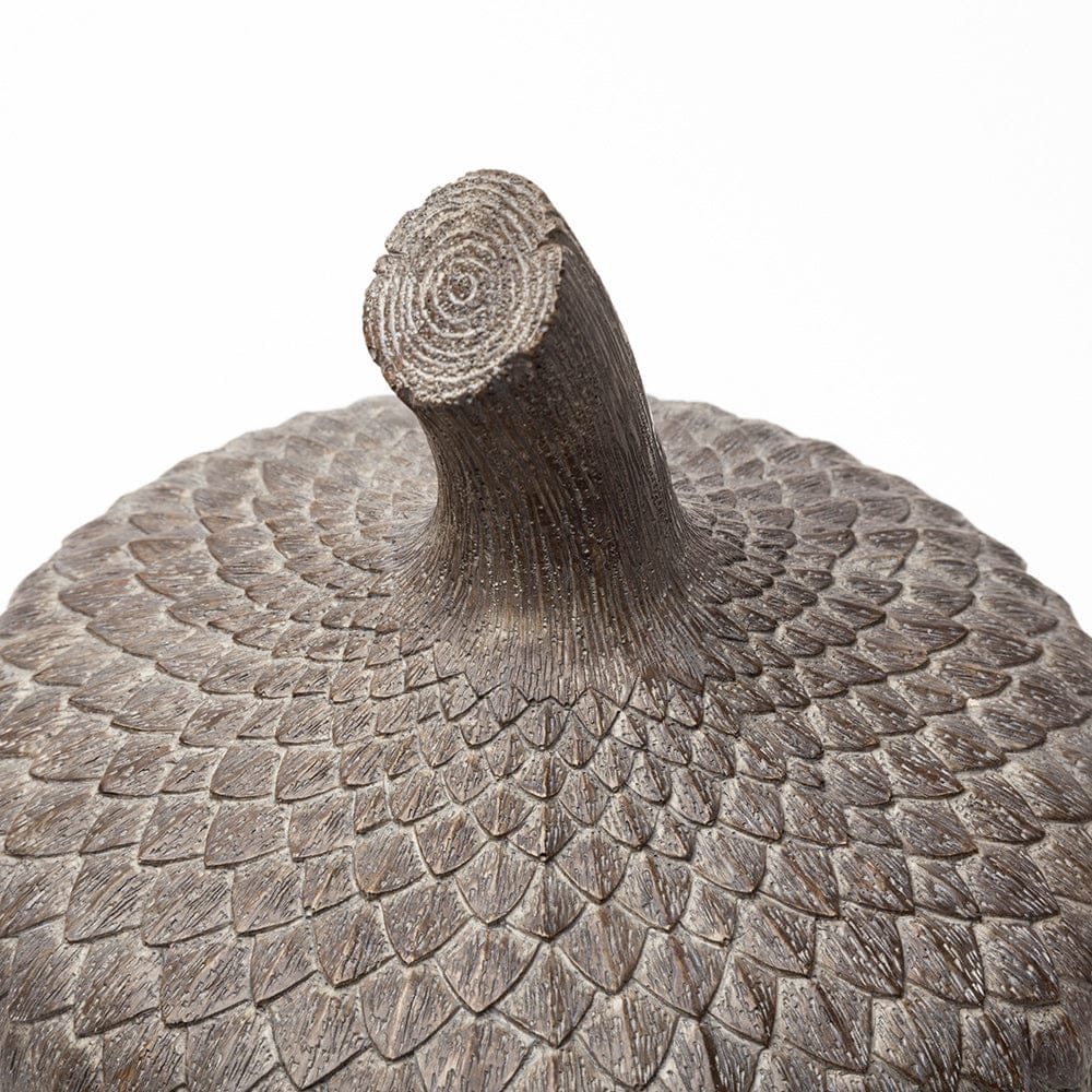 Mercana - Mandor I Small 6L x 6W Brown Resin Acorn Box - 57896_CLOSEOUT view 4