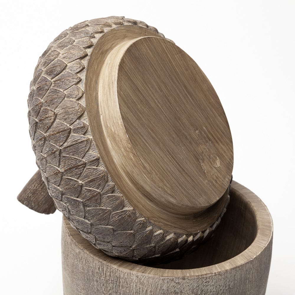 Mercana - Mandor I Small 6L x 6W Brown Resin Acorn Box - 57896_CLOSEOUT view 5