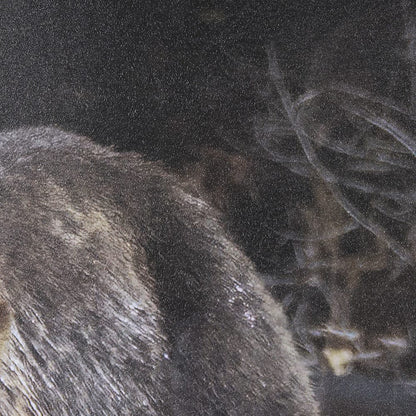 Mercana - Mom and Cub by Chad Mackay a Hand Embellished Textured Framed Art Print Matted under Glass - 14372 view 7