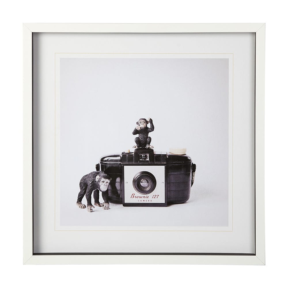 Mercana - Monkeys & Vintage Camera by Susannah Tucker Photography a Framed Art Print Matted under Glass - 12081 view 1