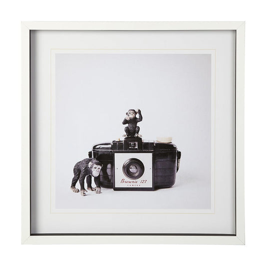 Mercana - Monkeys & Vintage Camera by Susannah Tucker Photography a Framed Art Print Matted under Glass - 12081 view 1