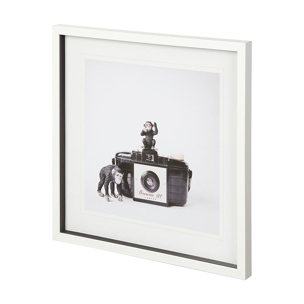 Mercana - Monkeys & Vintage Camera by Susannah Tucker Photography a Framed Art Print Matted under Glass - 12081 view 2