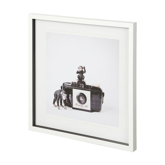 Mercana - Monkeys & Vintage Camera by Susannah Tucker Photography a Framed Art Print Matted under Glass - 12081 view 2