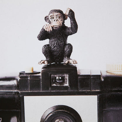 Mercana - Monkeys & Vintage Camera by Susannah Tucker Photography a Framed Art Print Matted under Glass - 12081 view 5