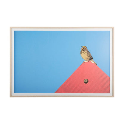 Mercana - Morning Song by Mercana Studio a Hand Embellished Textured Framed Art Print Matted under Glass - 14093 view 1