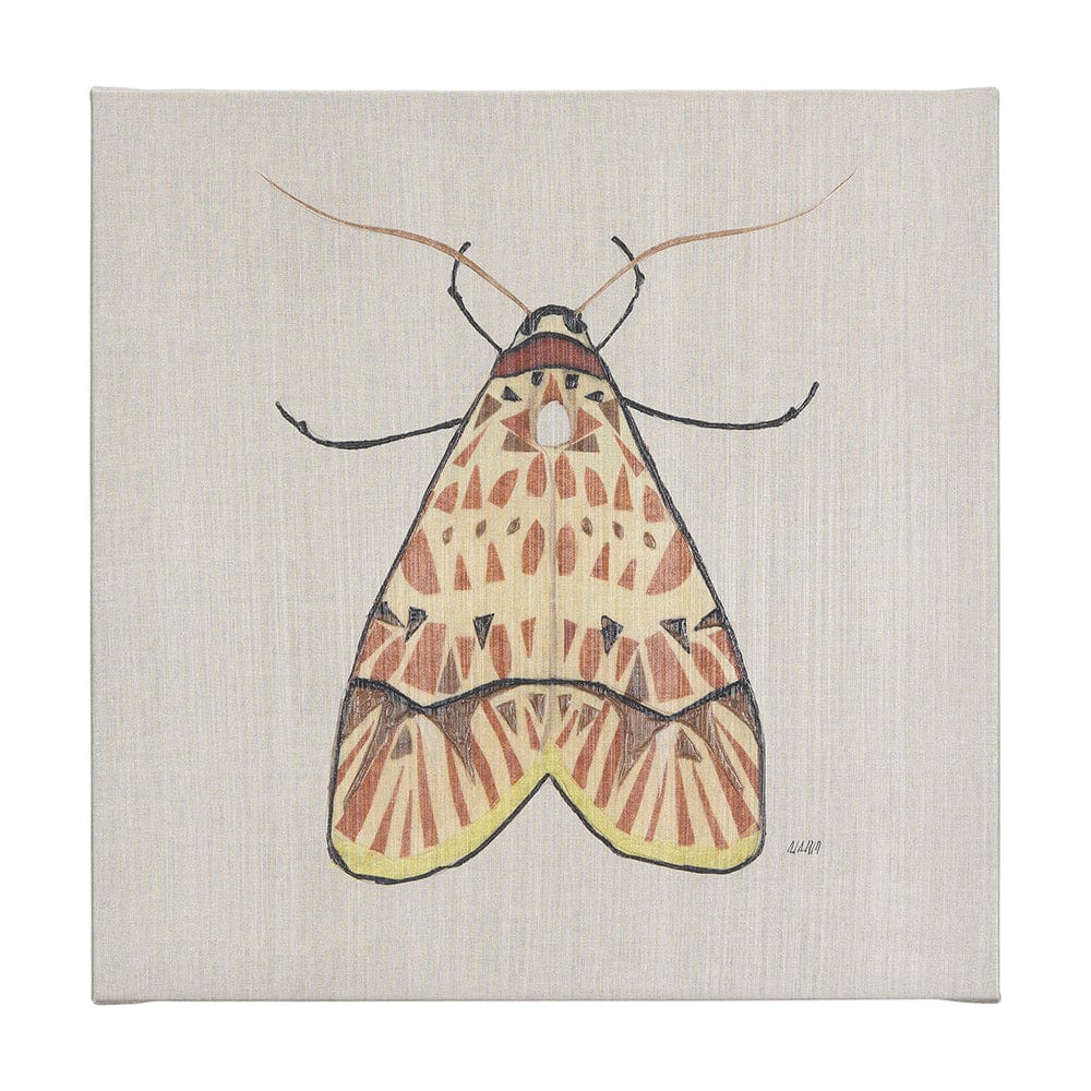 Mercana - Moth I by Mercana Studio a Hand Embellished Textured Canvas - 102217-L view 1
