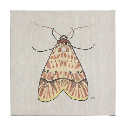 Mercana - Moth I by Mercana Studio a Hand Embellished Textured Canvas - 102217-L view 1