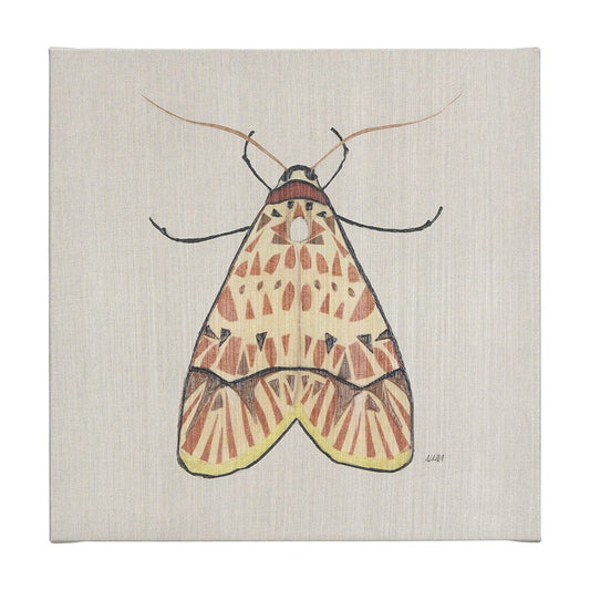 Mercana - Moth I by Mercana Studio a Hand Embellished Textured Canvas - 102217-L view 1